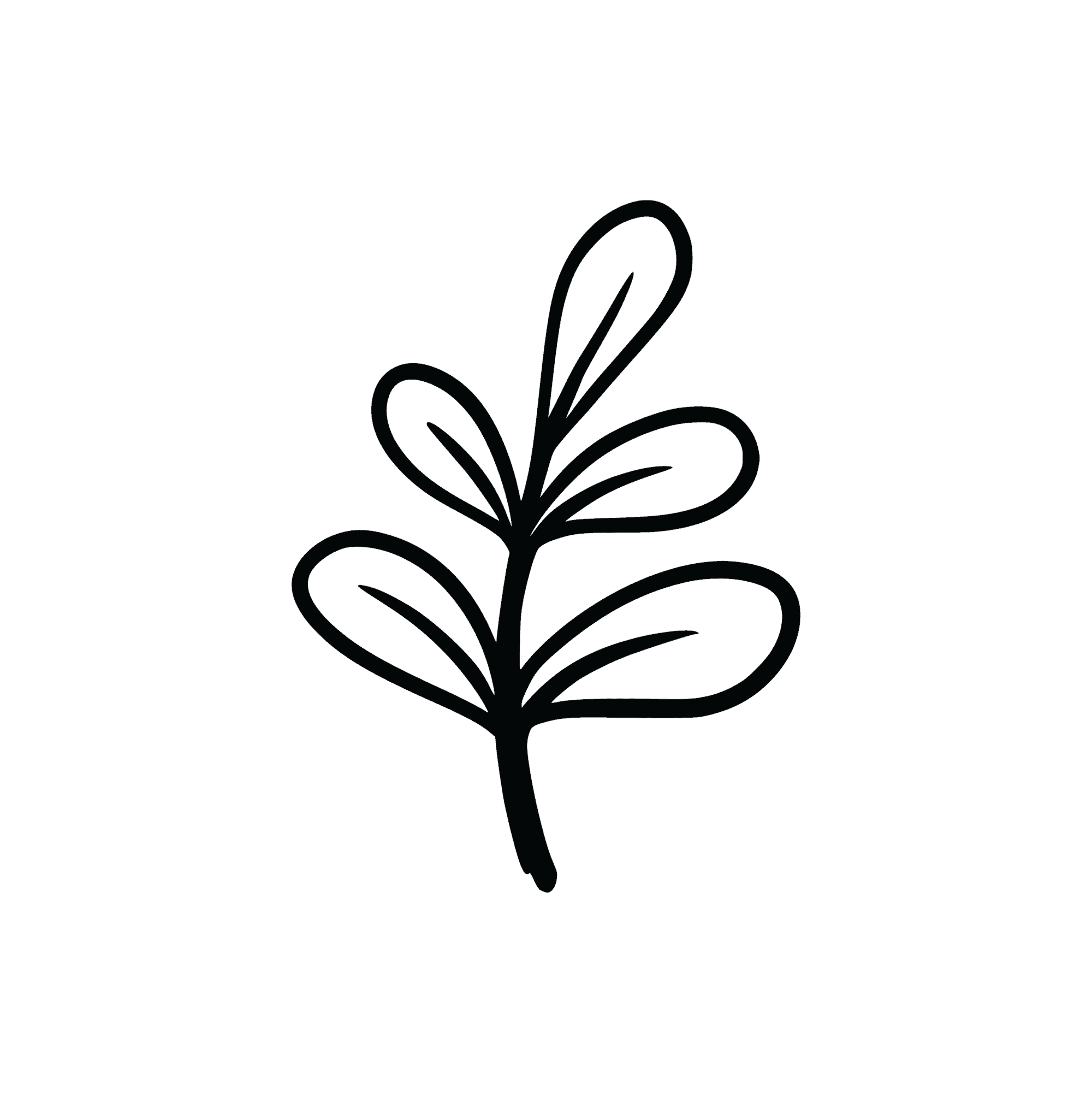 Urban Well Medspa + Wellness service