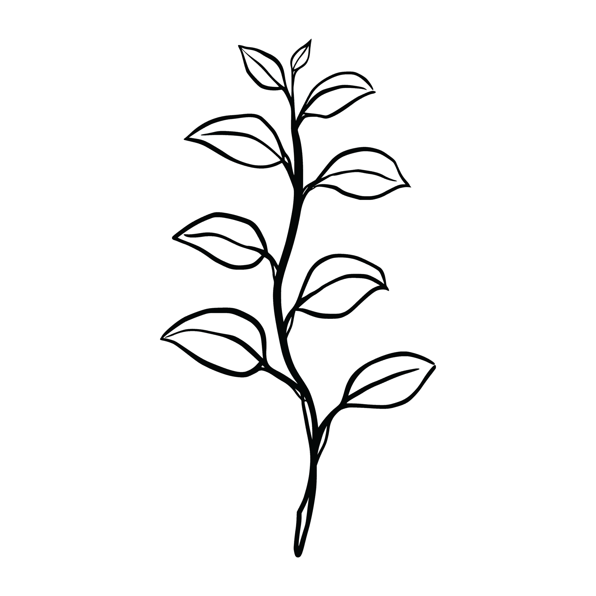 Urban Well Medspa + Wellness service